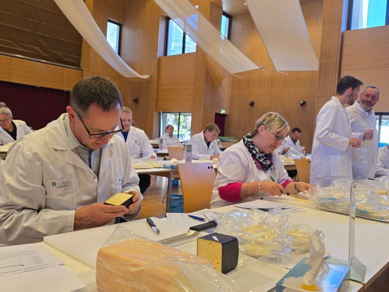 Käseverkostung Menschen in weißen Laborkitteln arbeiten an Tischen, mit Materialien vor ihnen im Seminarraum.